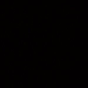 Meet your Posher, Evelyn